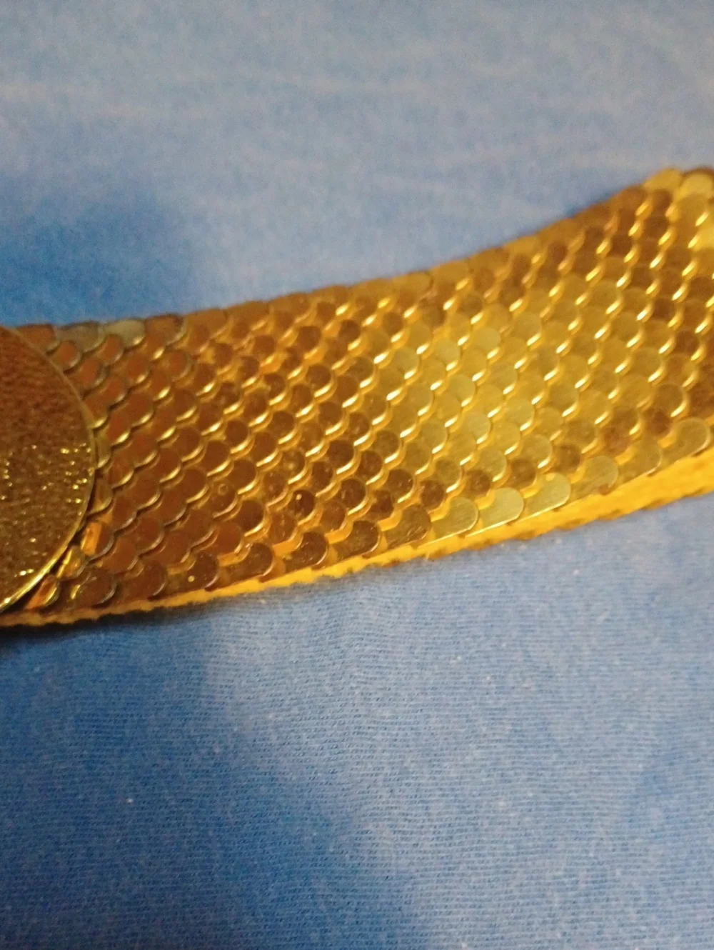 Vintage Lion Head Fish Scale Belt